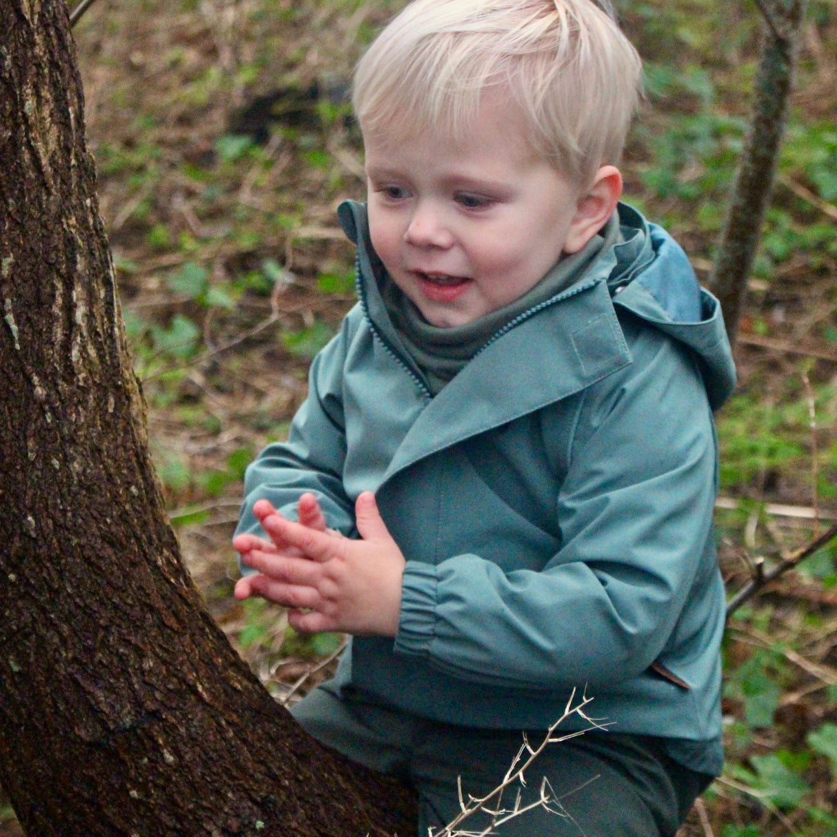 Lille Alvin Forårs- og Regnjakke - Cedar Green